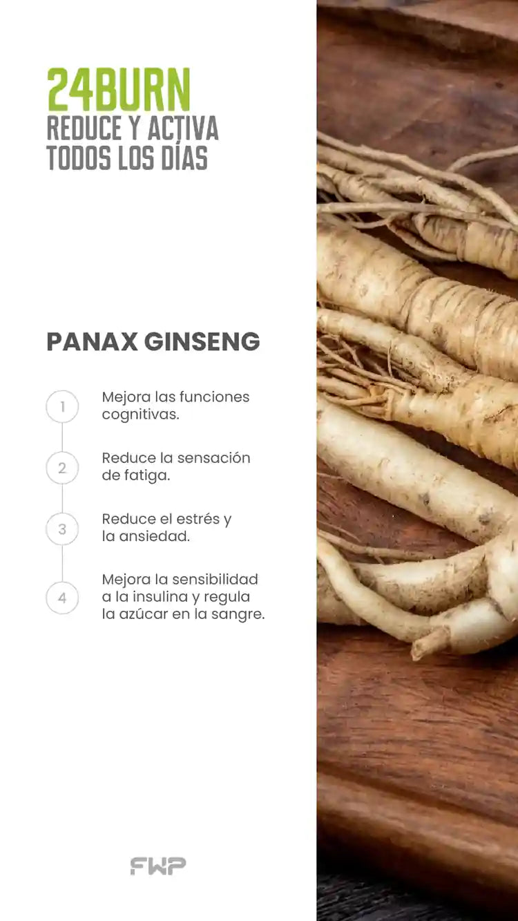 24BURN - Elimina la Grasa - Energía