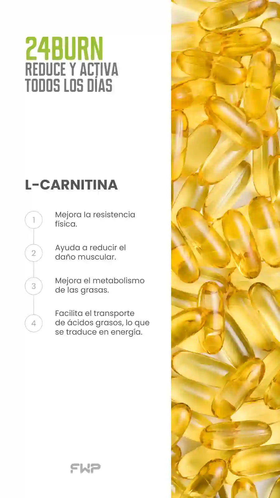 24BURN - Elimina la Grasa - Energía